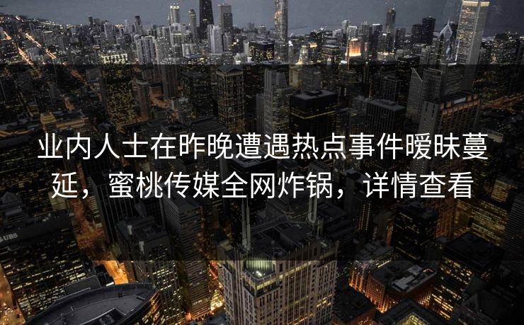 业内人士在昨晚遭遇热点事件暧昧蔓延，蜜桃传媒全网炸锅，详情查看