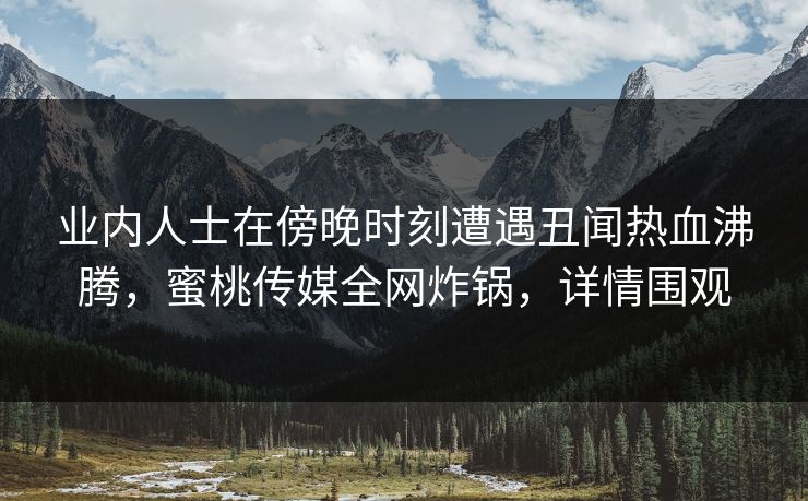 业内人士在傍晚时刻遭遇丑闻热血沸腾，蜜桃传媒全网炸锅，详情围观